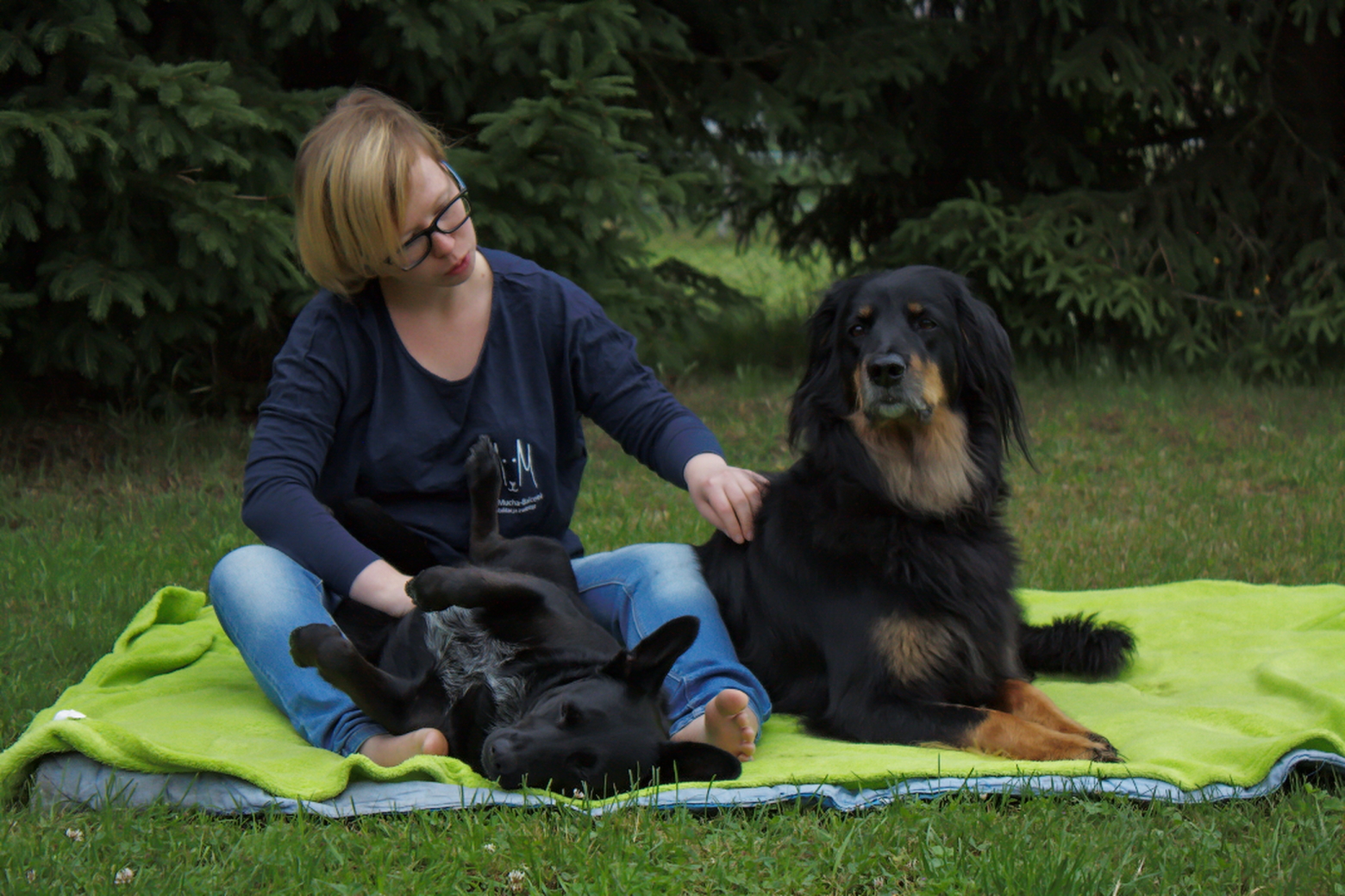 pies podczas rozmowy poprzez dotyk